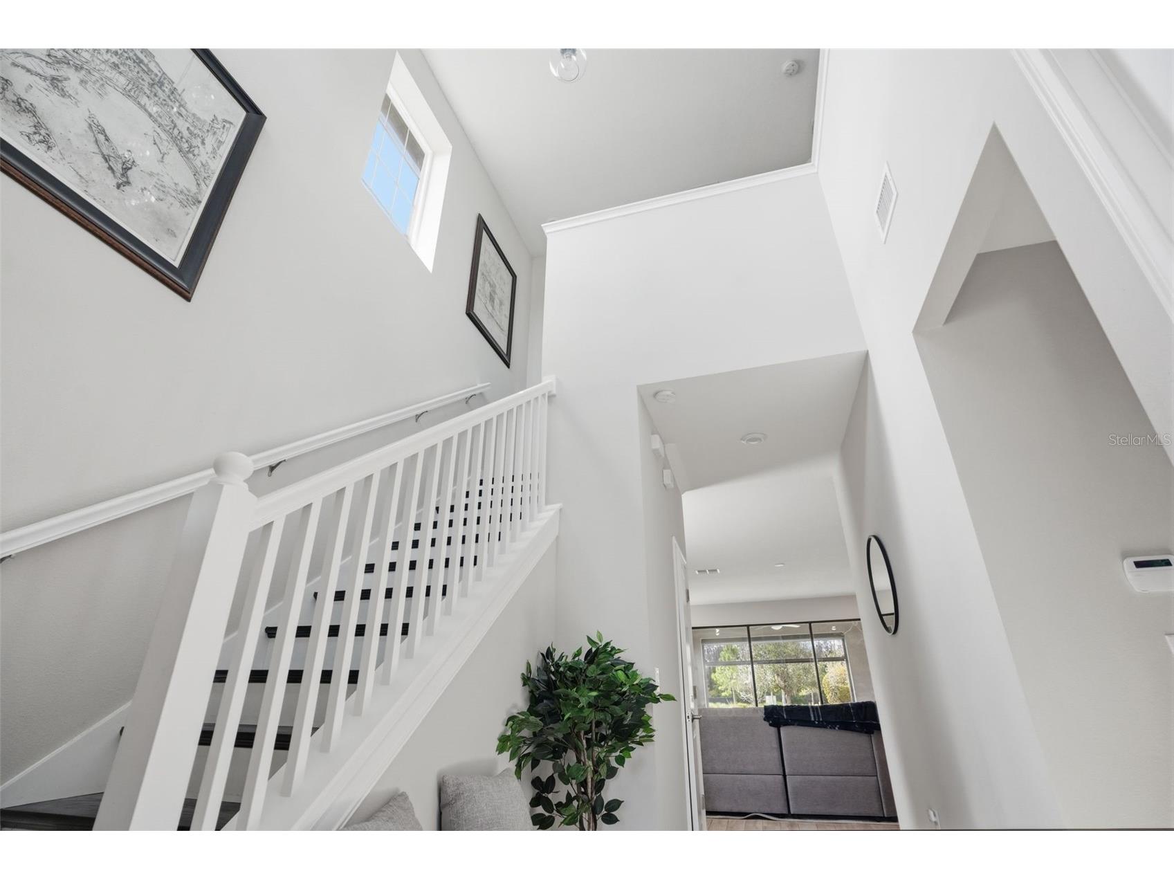 4547 San Martino Drive Wesley Chapel FL 33543 TB8484501 image4