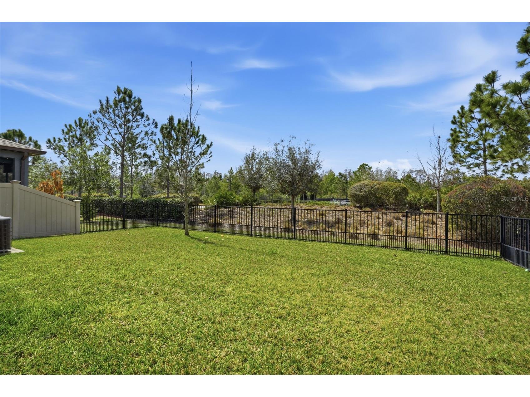 4547 San Martino Drive Wesley Chapel FL 33543 TB8484501 image42