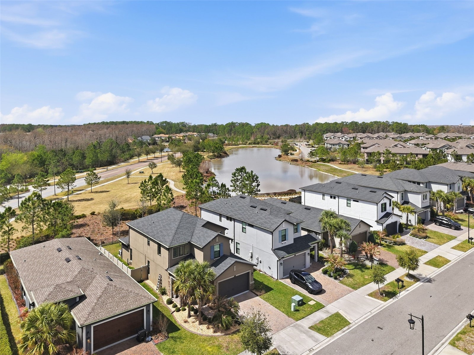4547 San Martino Drive Wesley Chapel FL 33543 TB8484501 image46