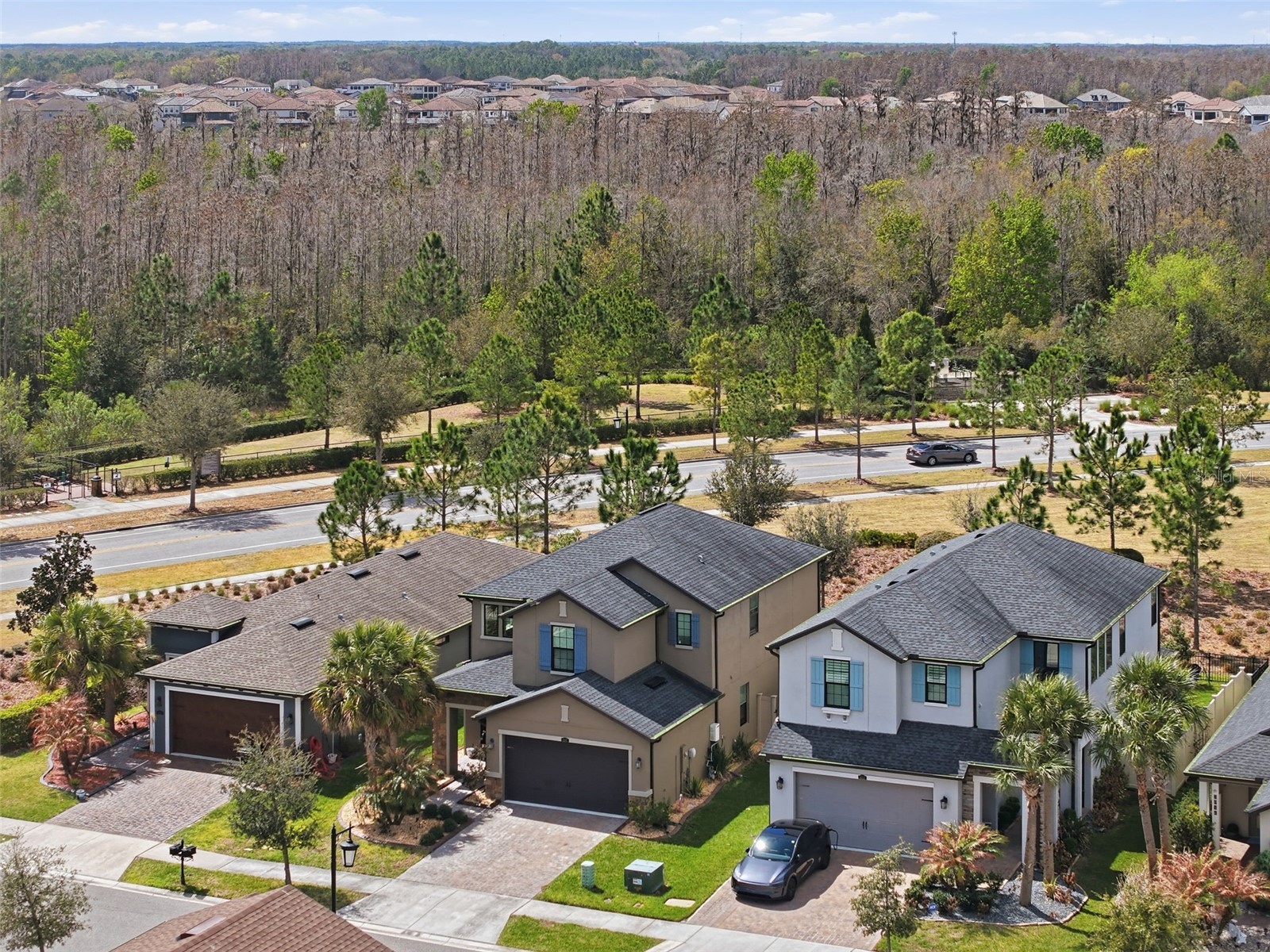 4547 San Martino Drive Wesley Chapel FL 33543 TB8484501 image47