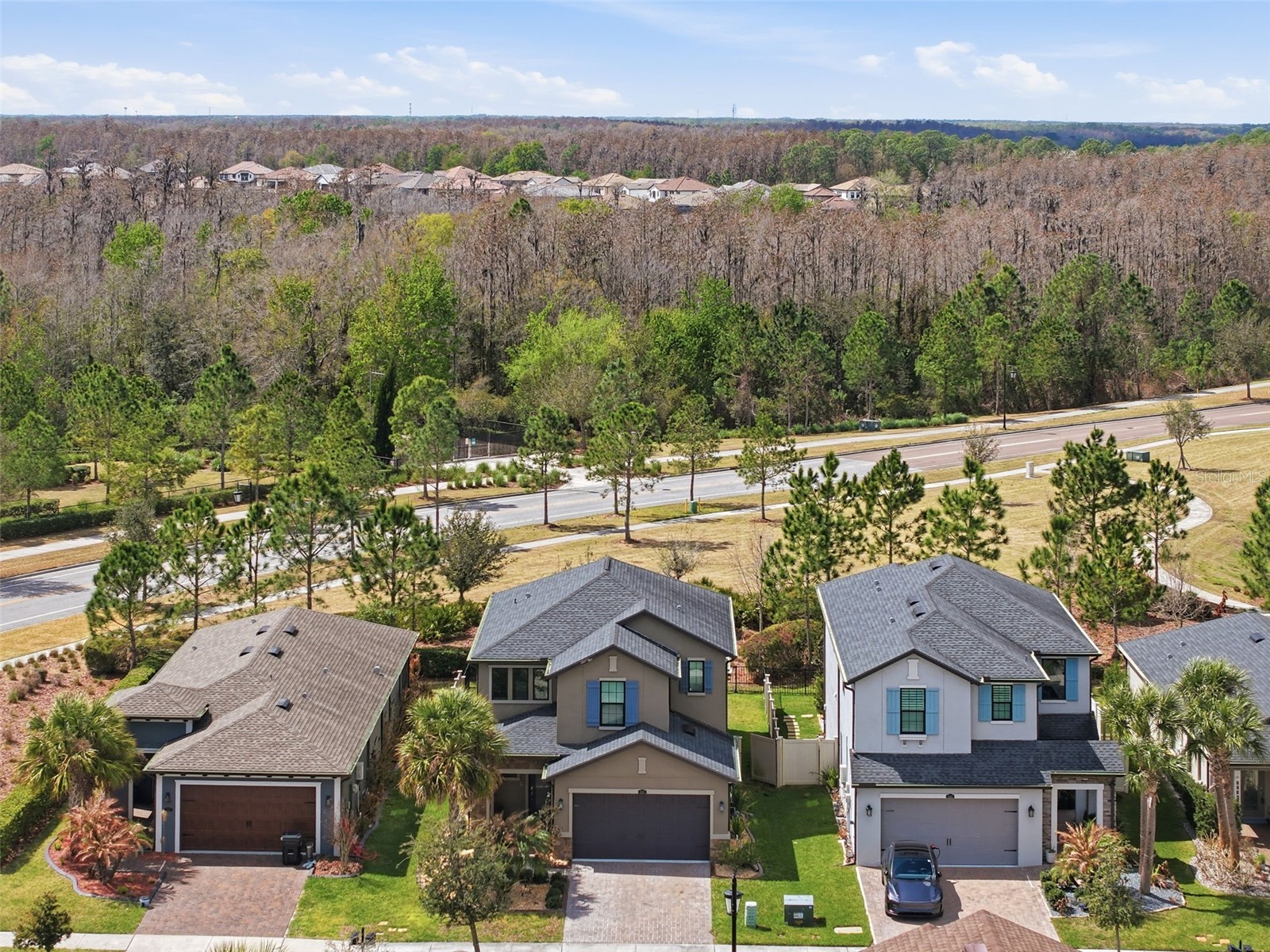 4547 San Martino Drive Wesley Chapel FL 33543 TB8484501 image48