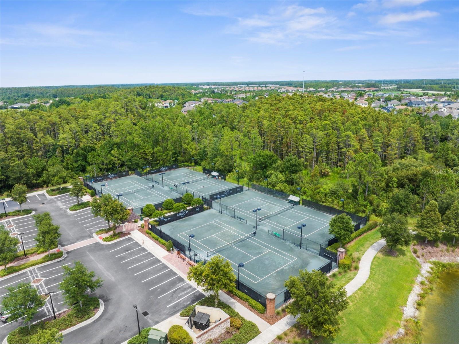 4547 San Martino Drive Wesley Chapel FL 33543 TB8484501 image53