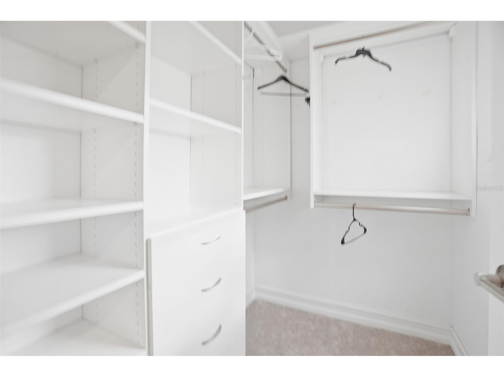 4547 San Martino Drive Wesley Chapel FL 33543 TB8526289 image20
