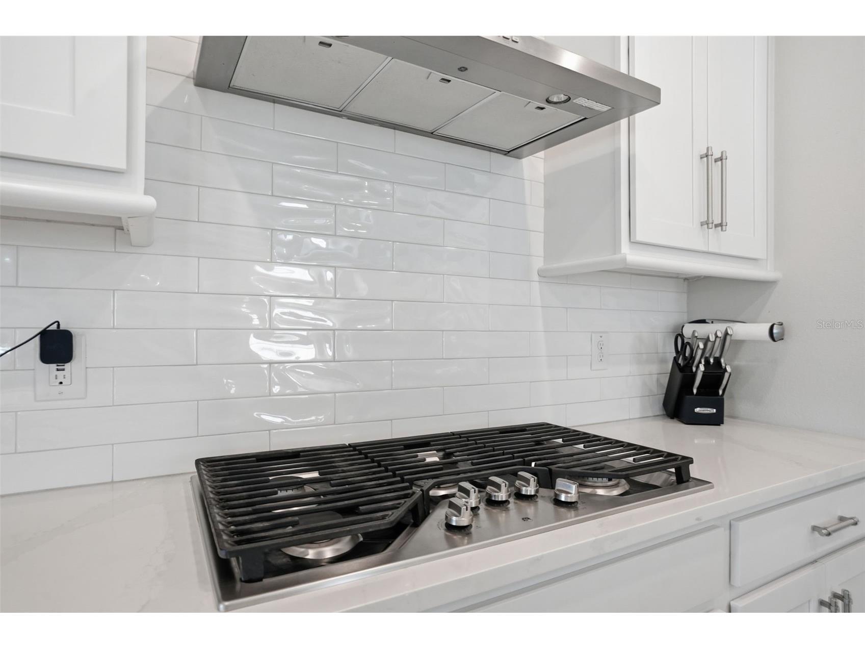 4547 San Martino Drive Wesley Chapel FL 33543 TB8526289 image6
