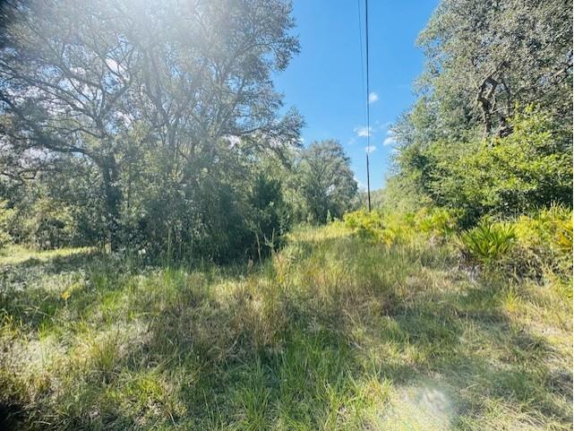 4547 SW 128th Place Webster FL 33597 G5102598 image10