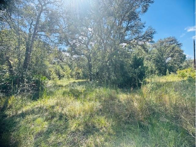 4547 SW 128th Place Webster FL 33597 G5102598 image11