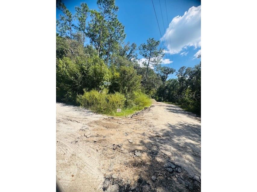 4547 SW 128th Place Webster FL 33597 G5102598 image13