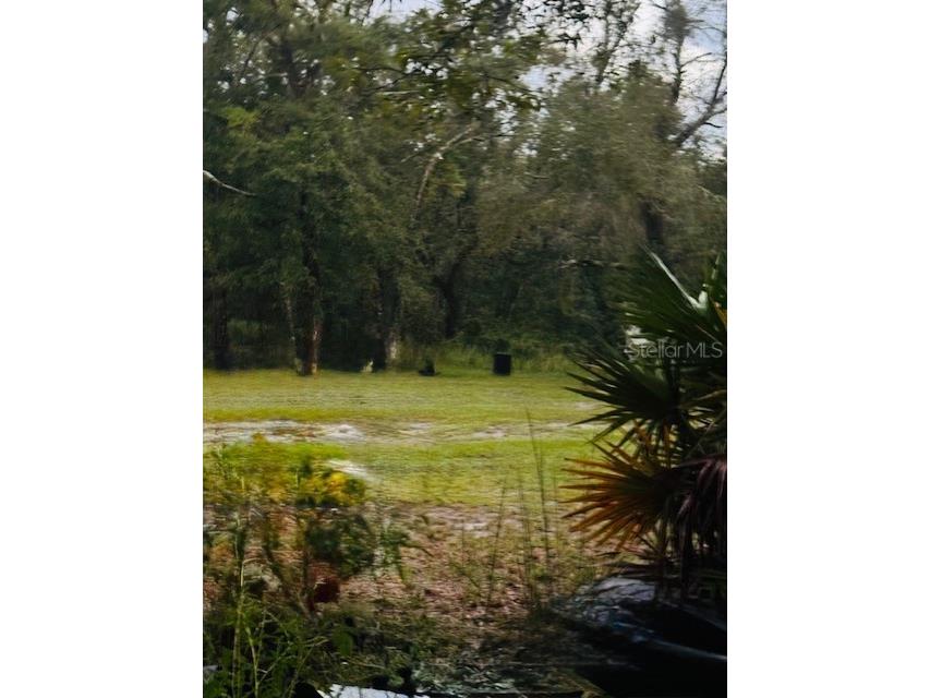 4547 SW 128th Place Webster FL 33597 G5102598 image6