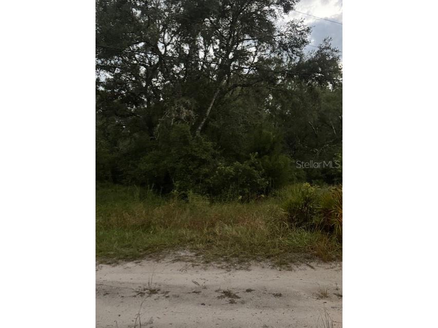 4547 SW 128th Place Webster FL 33597 G5102598 image8