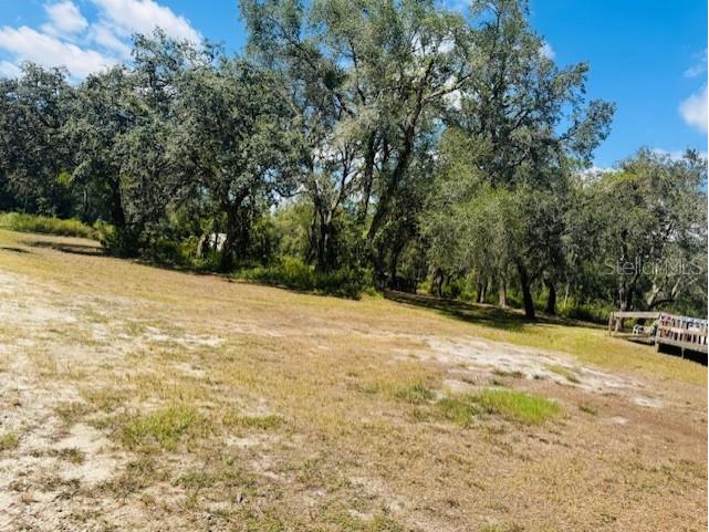 4547 SW 128th Place Webster FL 33597 G5102598 image9