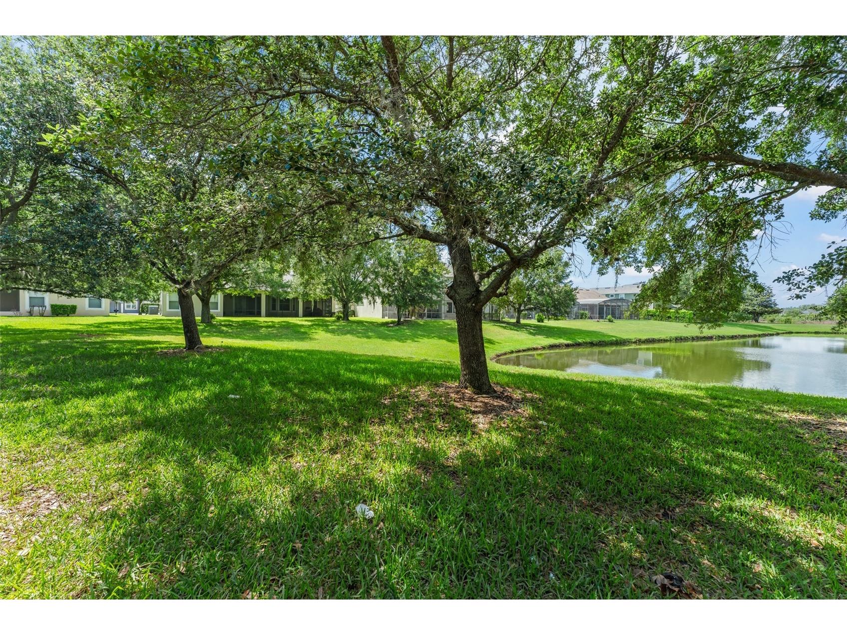 4548 Blue Major Drive Windermere FL 34786 O6410248 image43