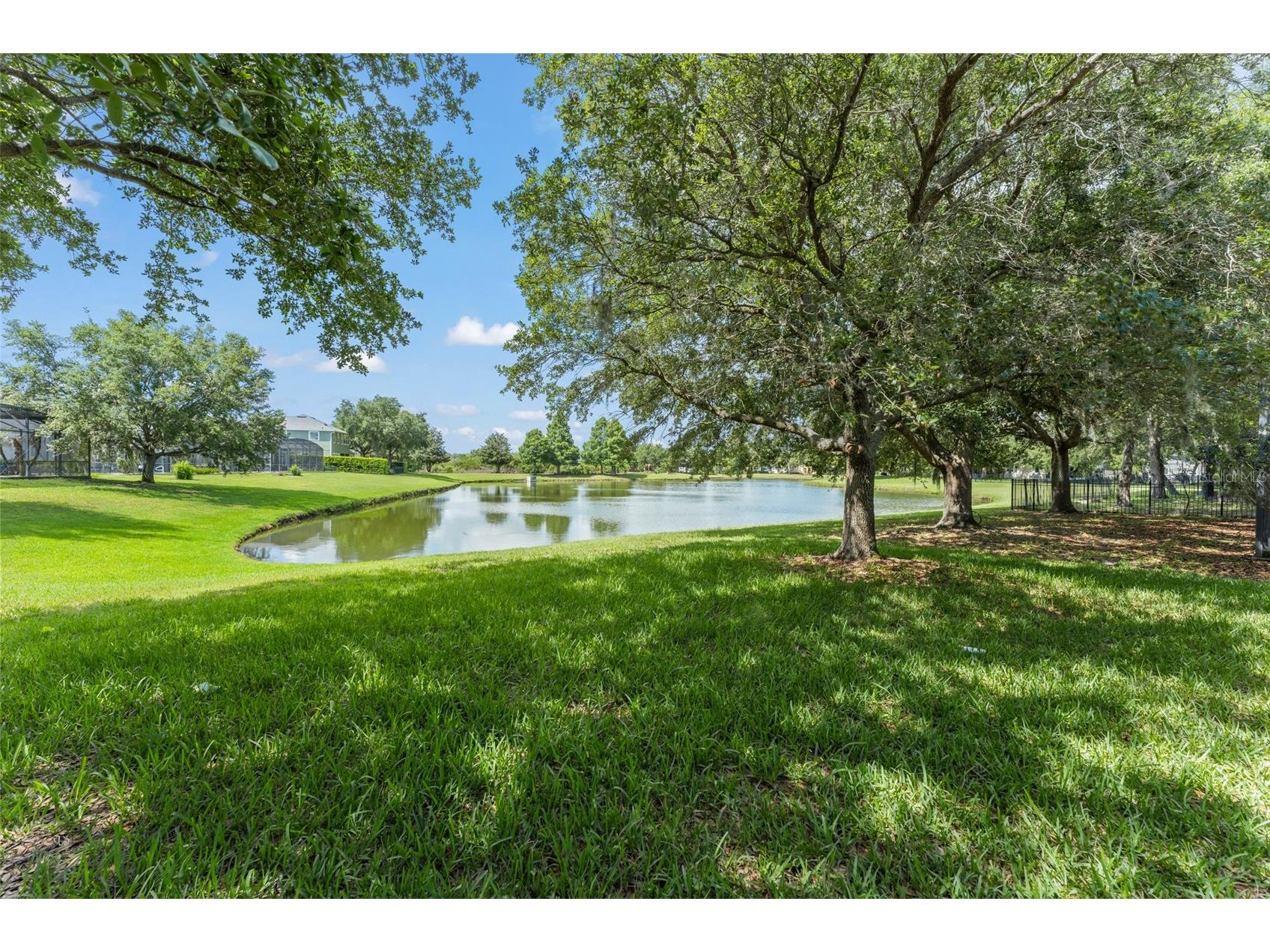 4548 Blue Major Drive Windermere FL 34786 O6410248 image44