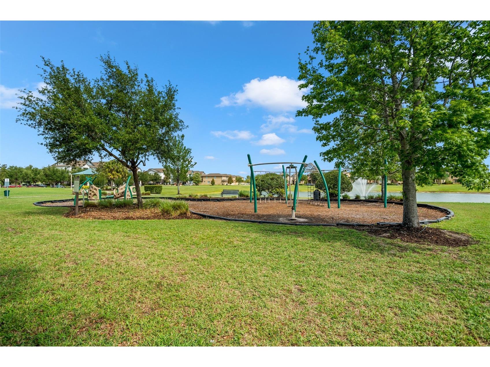 4548 Blue Major Drive Windermere FL 34786 O6410248 image49