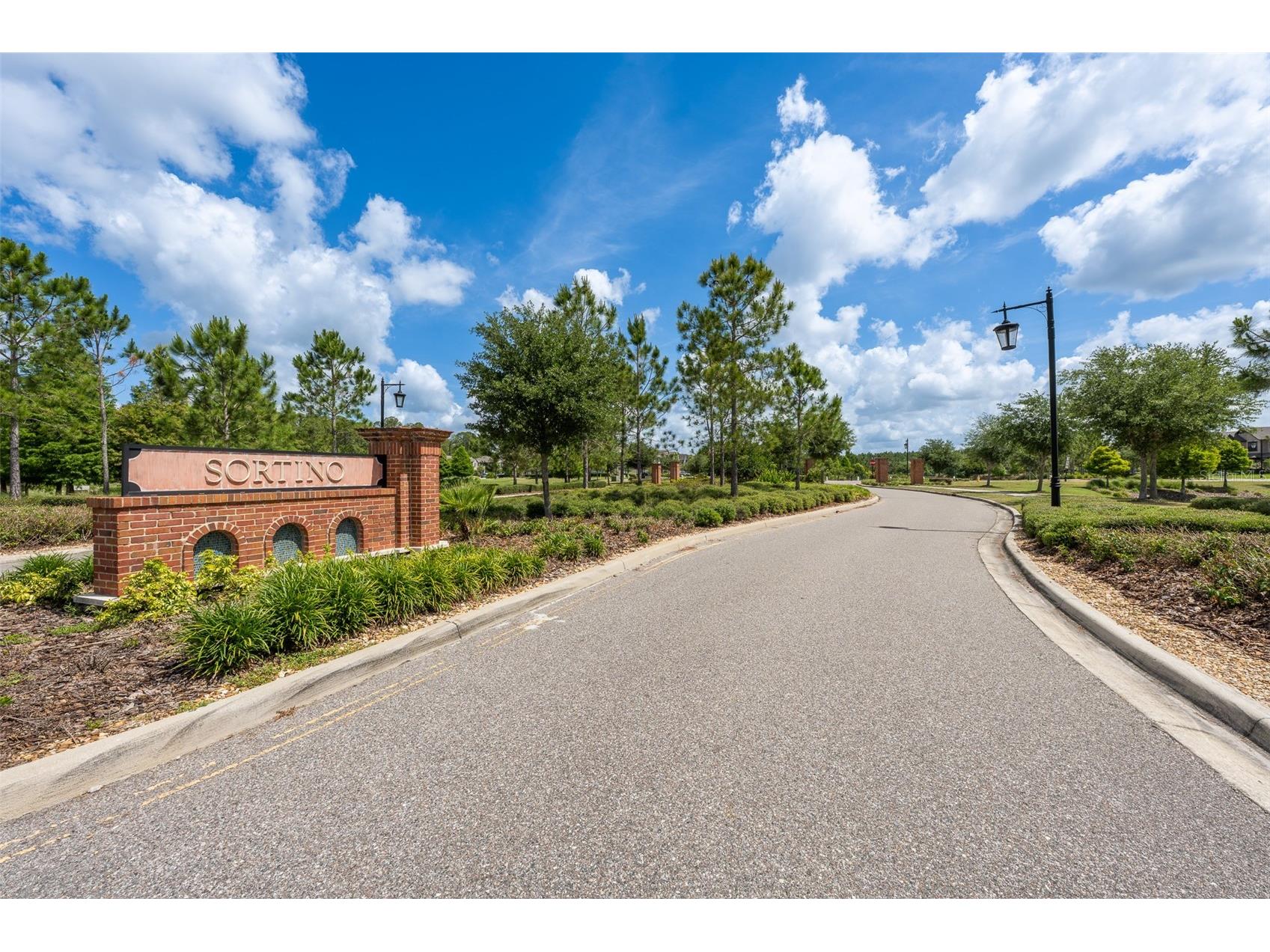 4549 Ancona Way Wesley Chapel FL 33543 TB8510288 image35