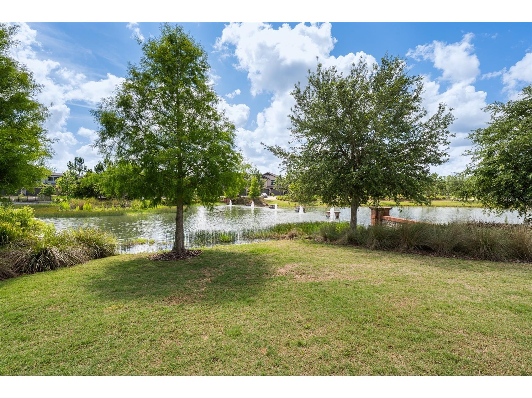 4549 Ancona Way Wesley Chapel FL 33543 TB8510288 image47