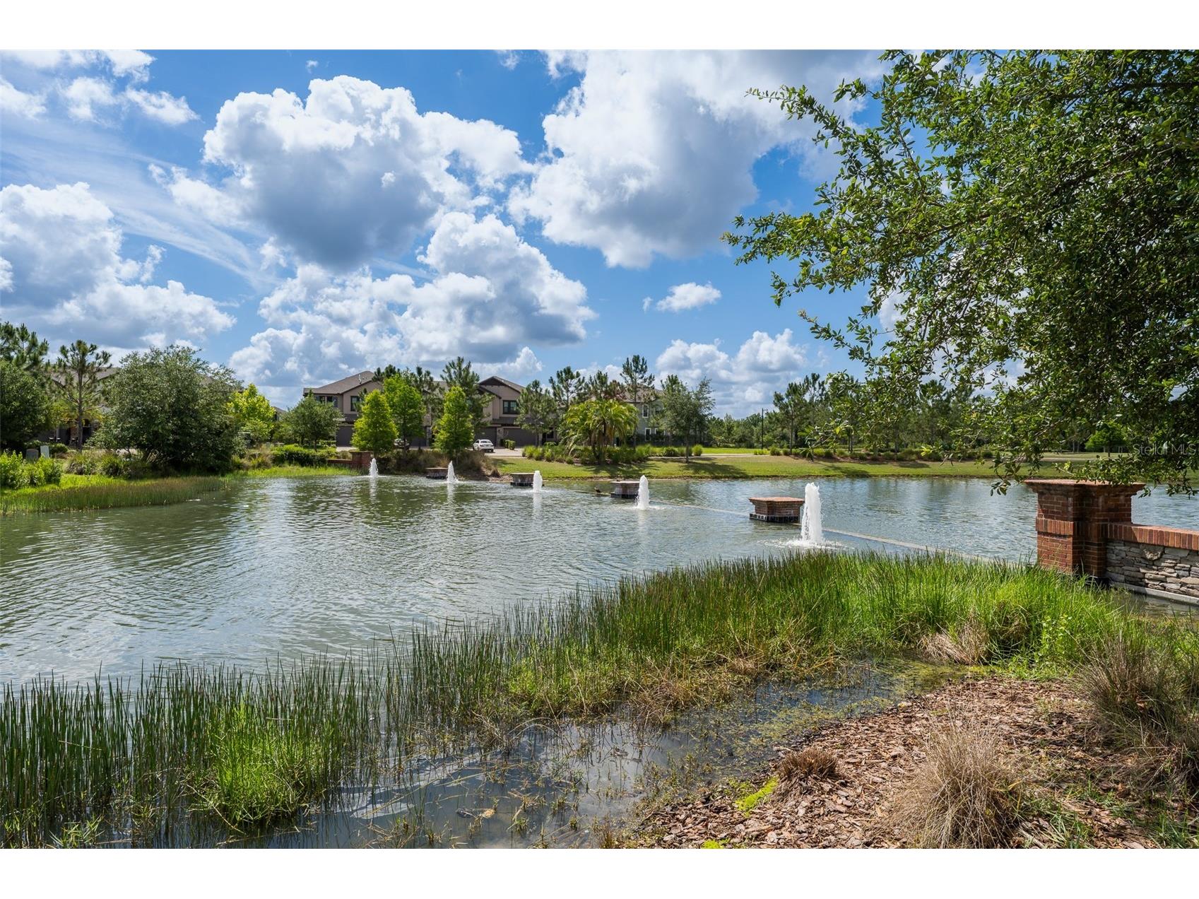 4549 Ancona Way Wesley Chapel FL 33543 TB8510288 image48