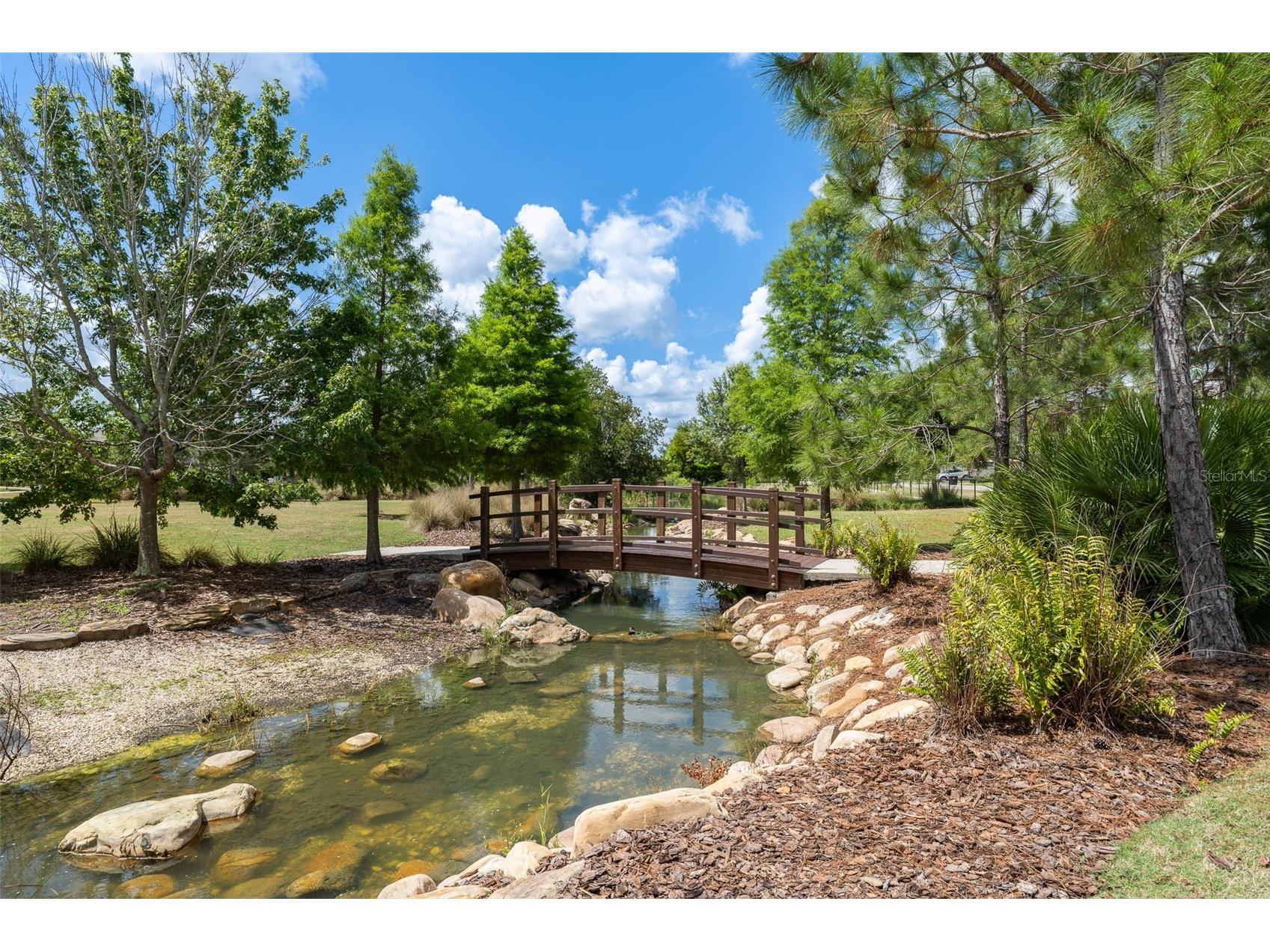 4549 Ancona Way Wesley Chapel FL 33543 TB8510288 image51