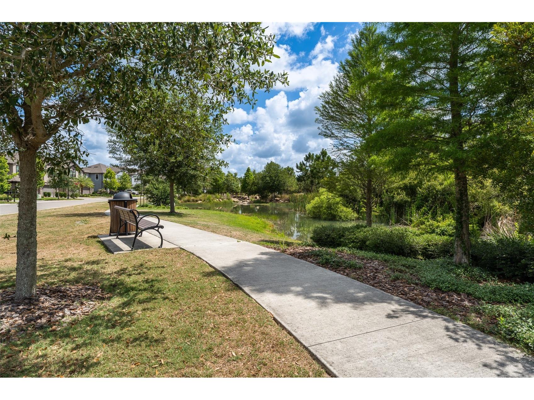 4549 Ancona Way Wesley Chapel FL 33543 TB8510288 image52