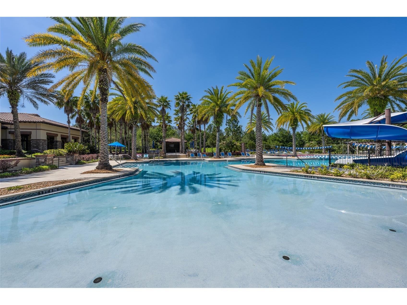 4549 Ancona Way Wesley Chapel FL 33543 TB8510288 image57