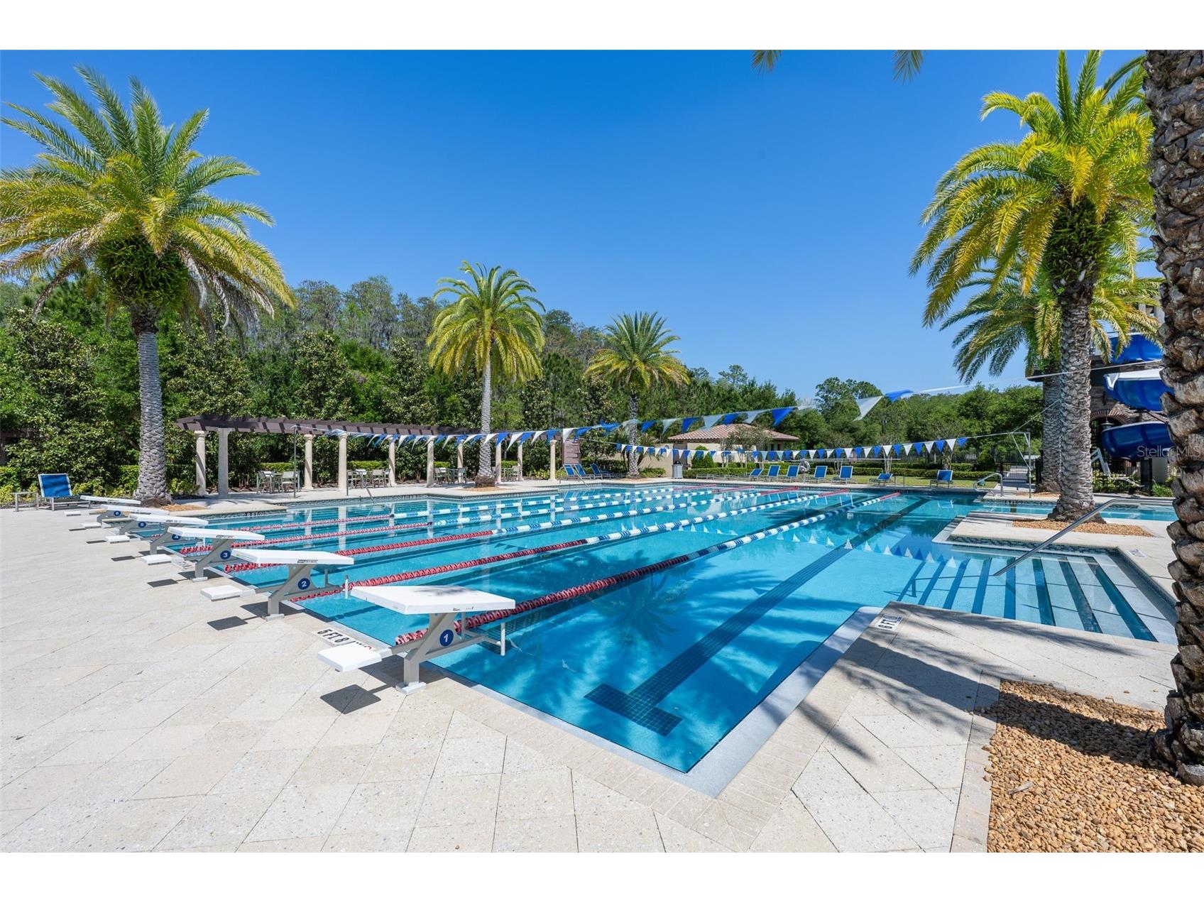 4549 Ancona Way Wesley Chapel FL 33543 TB8510288 image59