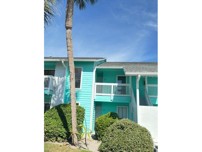 455 Alt 19 S #12 Palm Harbor FL 34683 TB8454061 image2