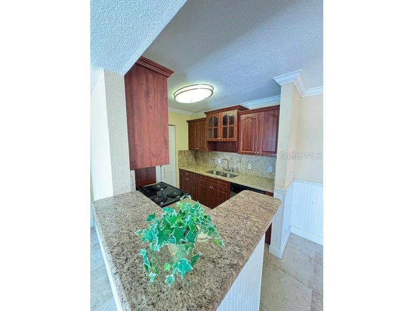 455 Alt 19 S #12 Palm Harbor FL 34683 TB8454061 image3