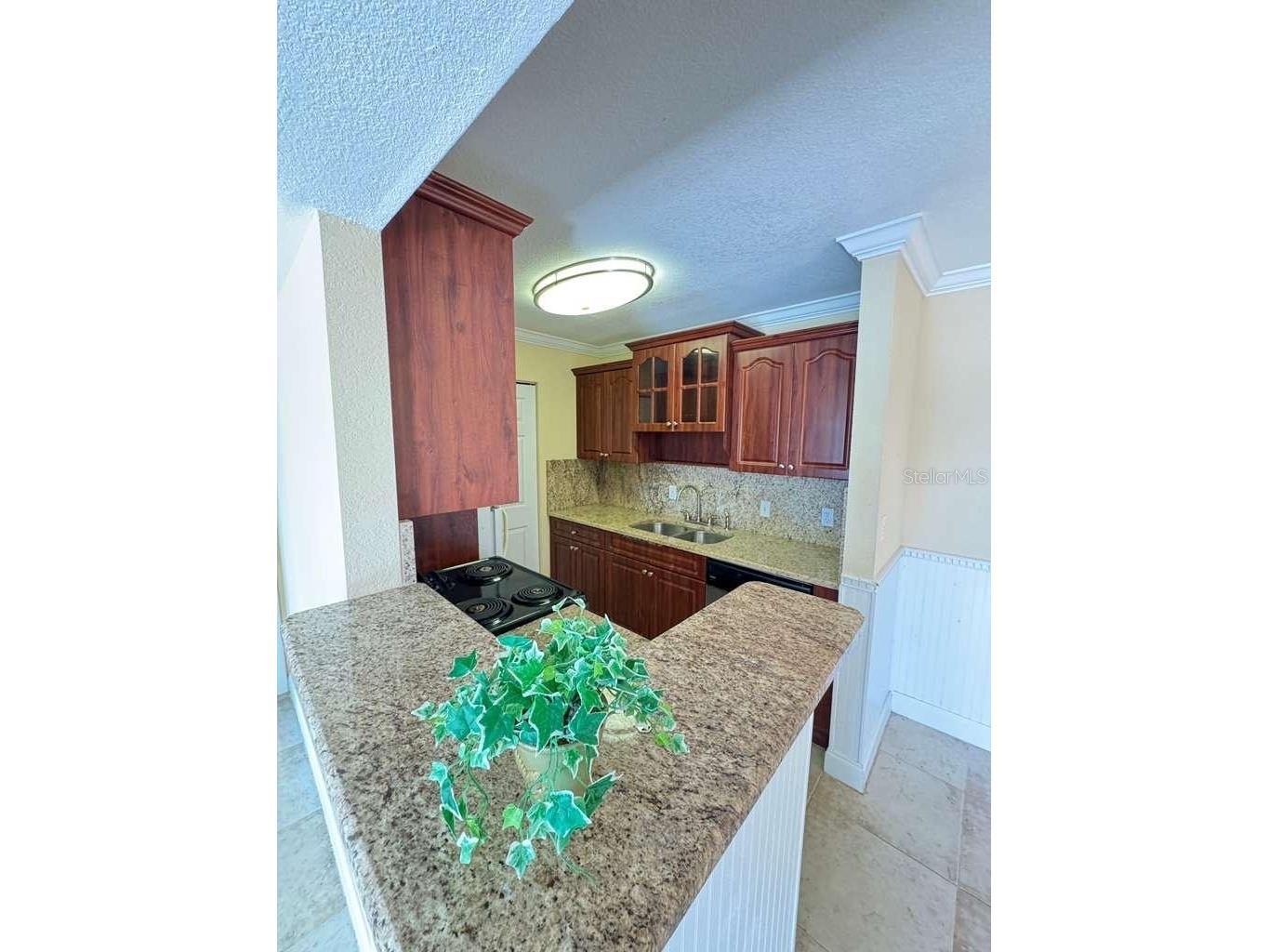 455 Alt 19 S #12 Palm Harbor FL 34683 TB8506088 image12
