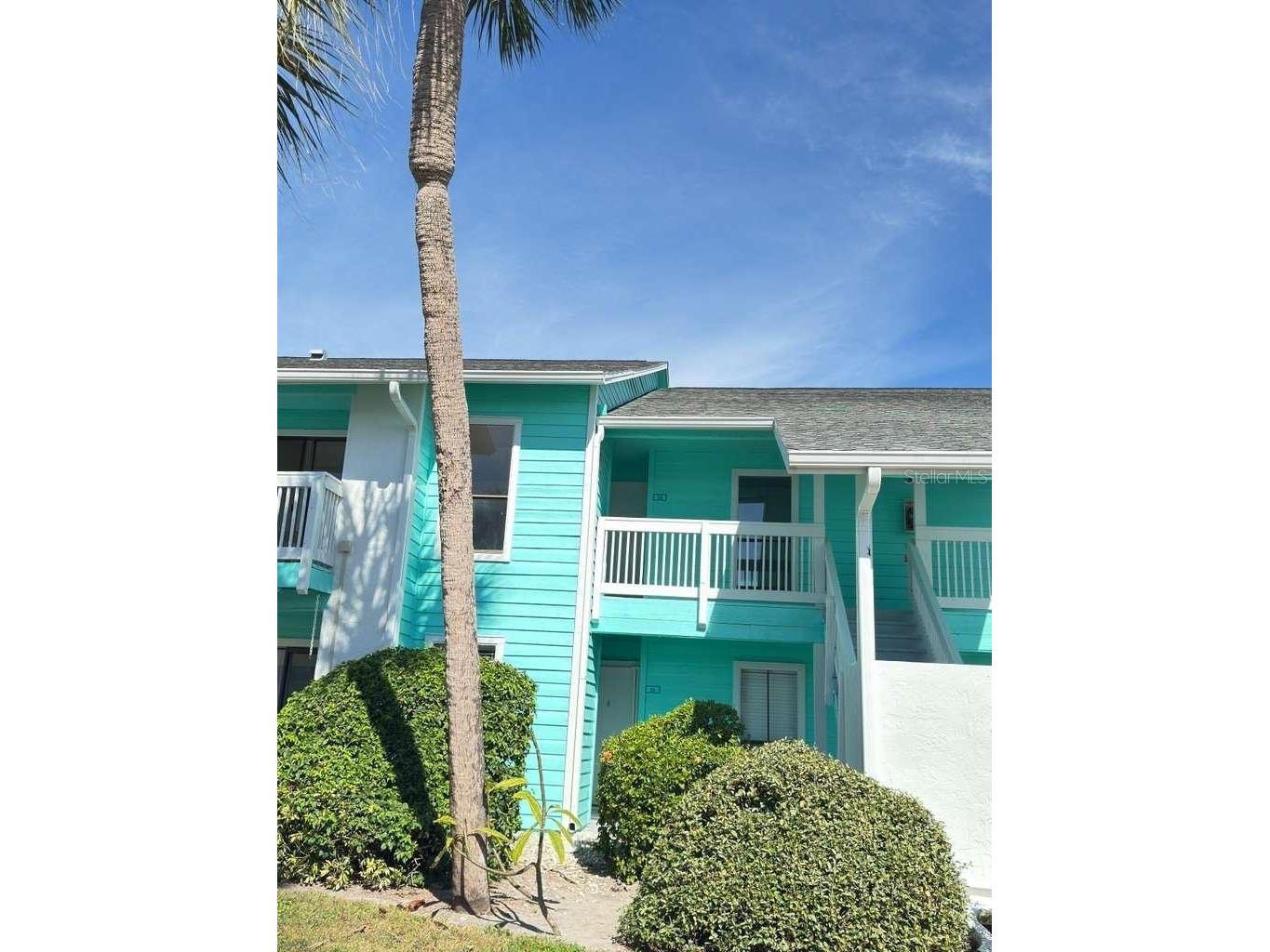 455 Alt 19 S #12 Palm Harbor FL 34683 TB8506088 image2