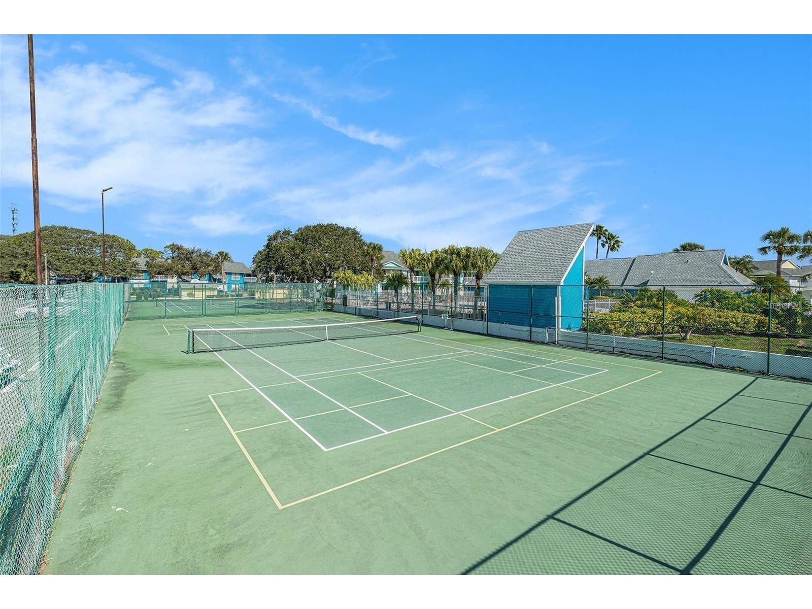 455 Alt 19 S #12 Palm Harbor FL 34683 TB8506088 image25