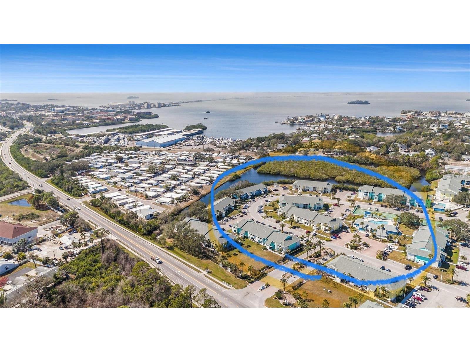 455 Alt 19 S #12 Palm Harbor FL 34683 TB8506088 image27
