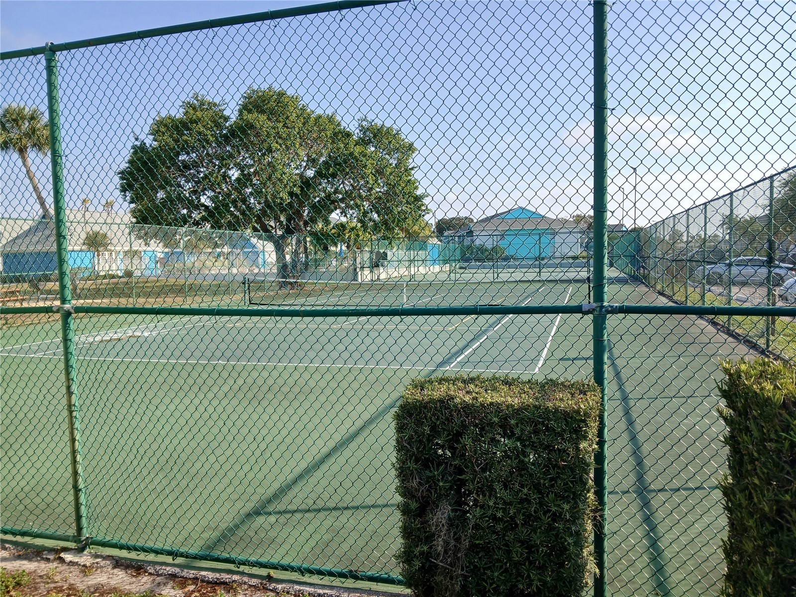 455 Alt 19 S #121 Palm Harbor FL 34683 TB8494673 image13