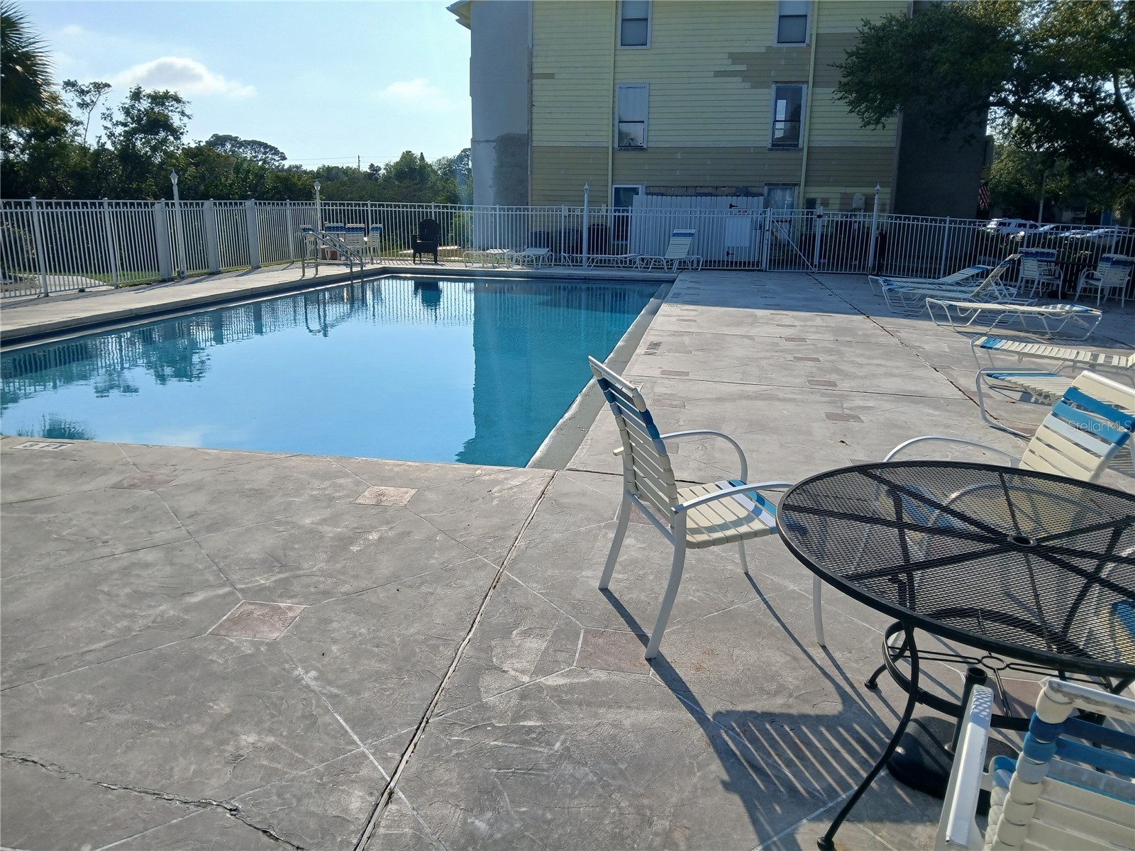 455 Alt 19 S #121 Palm Harbor FL 34683 TB8494673 image14