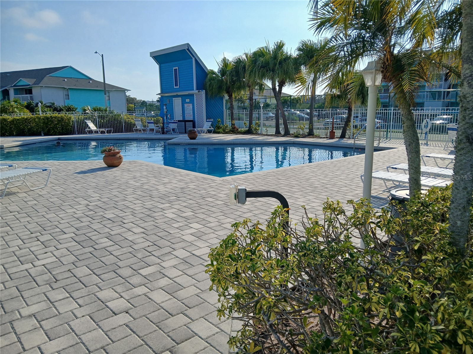 455 Alt 19 S #121 Palm Harbor FL 34683 TB8494673 image18