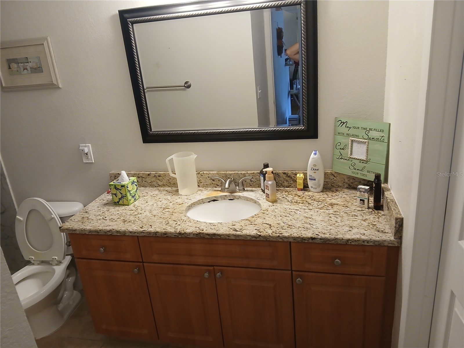 455 Alt 19 S #121 Palm Harbor FL 34683 TB8494673 image8