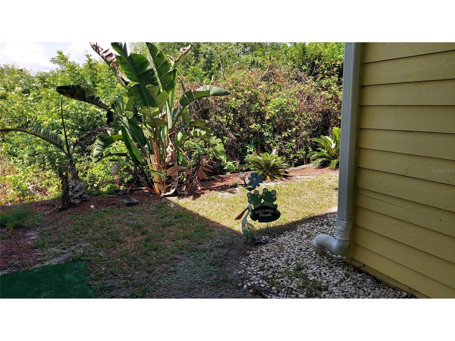 455 Alt 19 S #123 Palm Harbor FL 34683 W7885500 image23