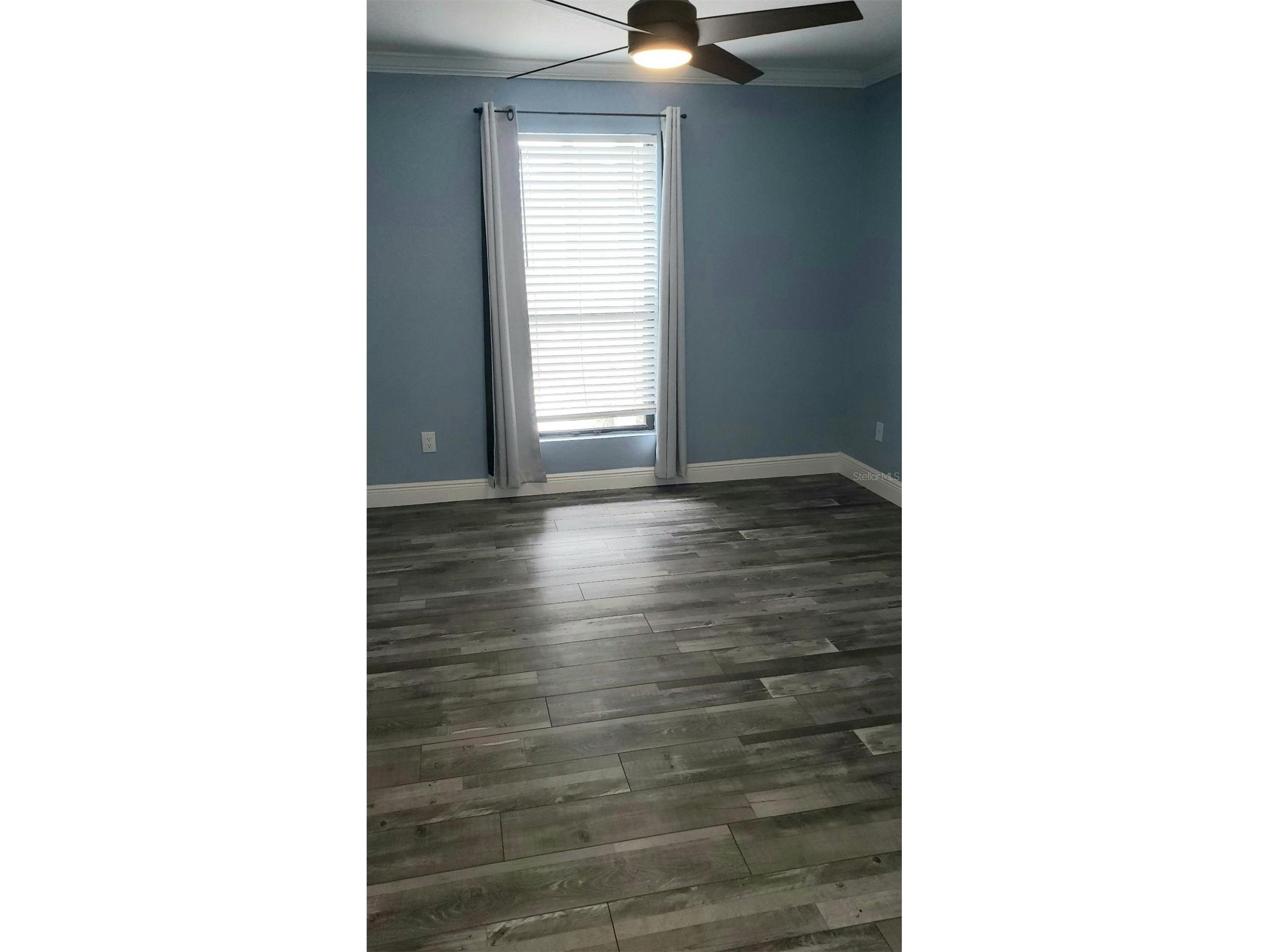 455 Alt 19 S #15 Palm Harbor FL 34683 TB8469666 image12