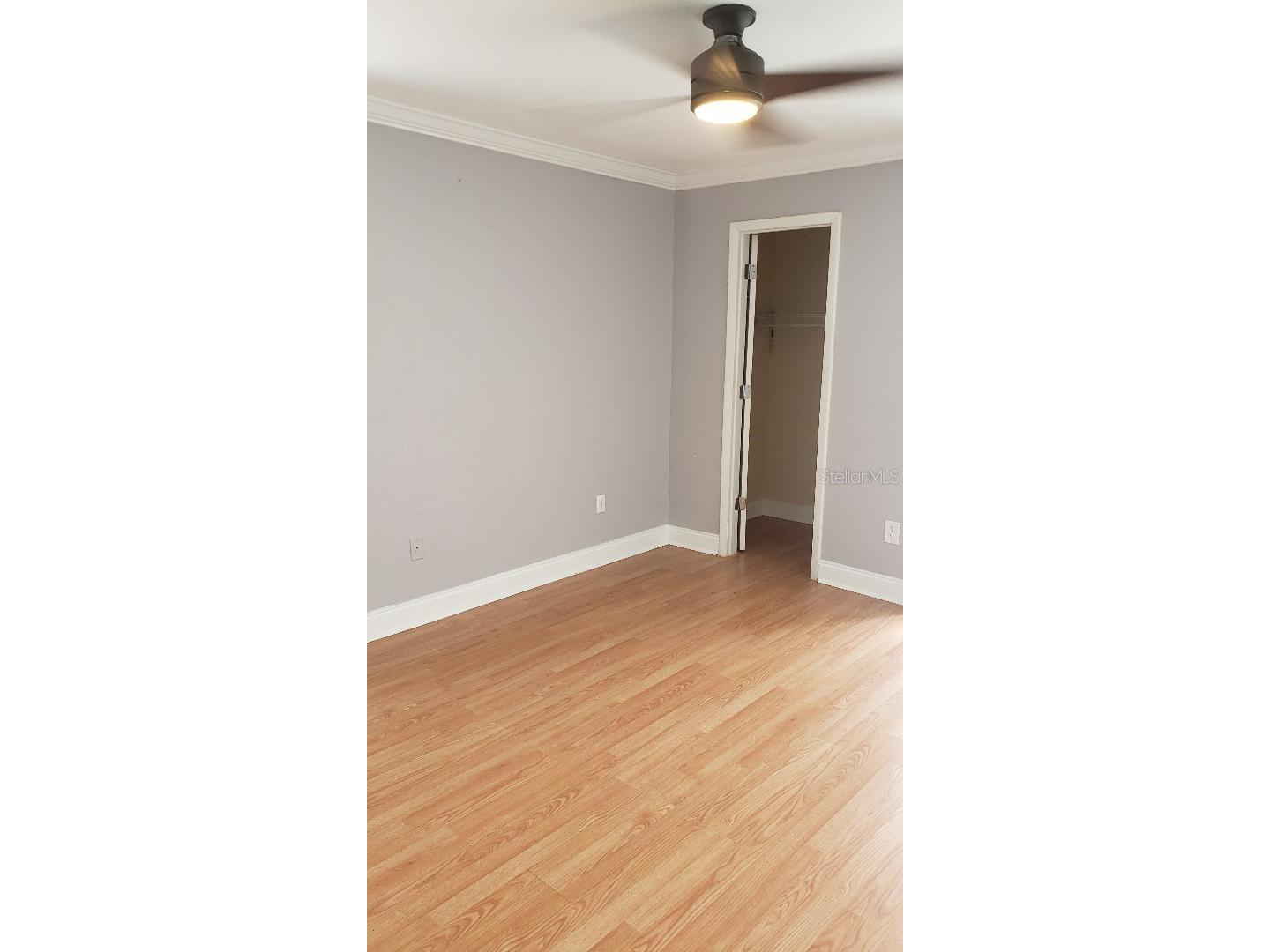 455 Alt 19 S #15 Palm Harbor FL 34683 TB8469666 image17