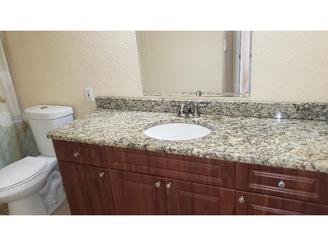 455 Alt 19 S #15 Palm Harbor FL 34683 TB8469666 image18
