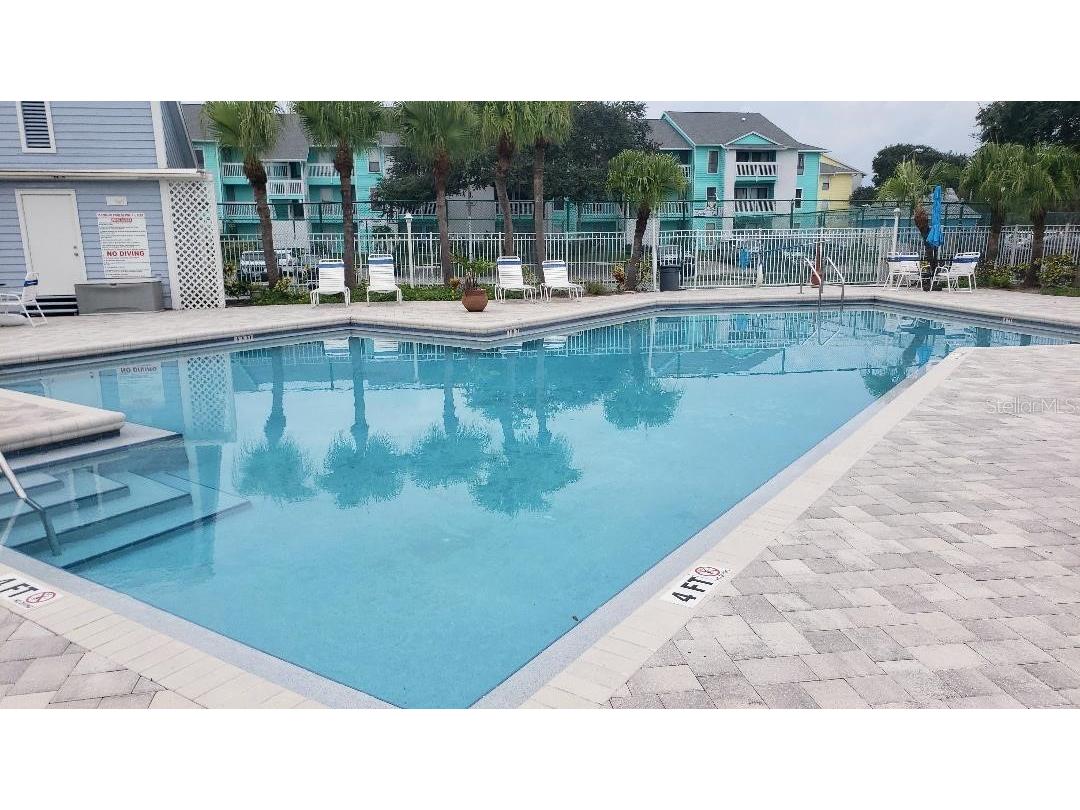 455 Alt 19 S #15 Palm Harbor FL 34683 TB8469666 image27