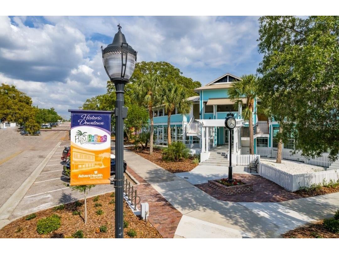 455 Alt 19 S #15 Palm Harbor FL 34683 TB8469666 image32