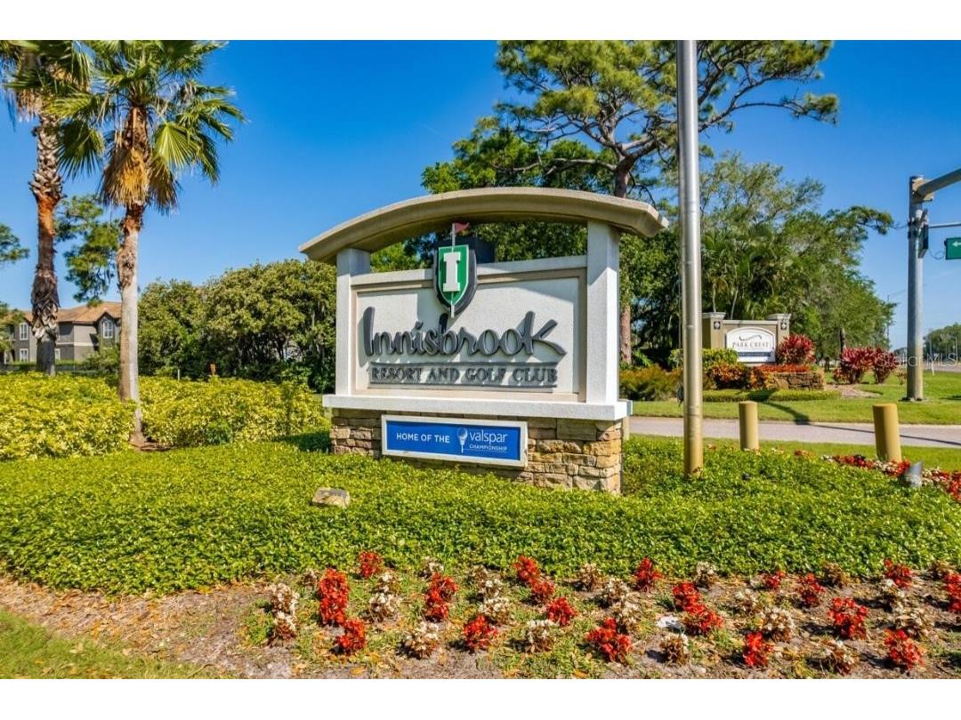 455 Alt 19 S #15 Palm Harbor FL 34683 TB8469666 image34