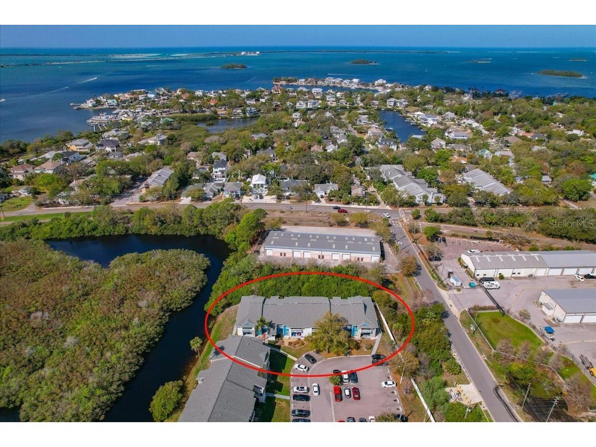 455 Alt 19 S #151 Palm Harbor FL 34683 TB8484878 image1