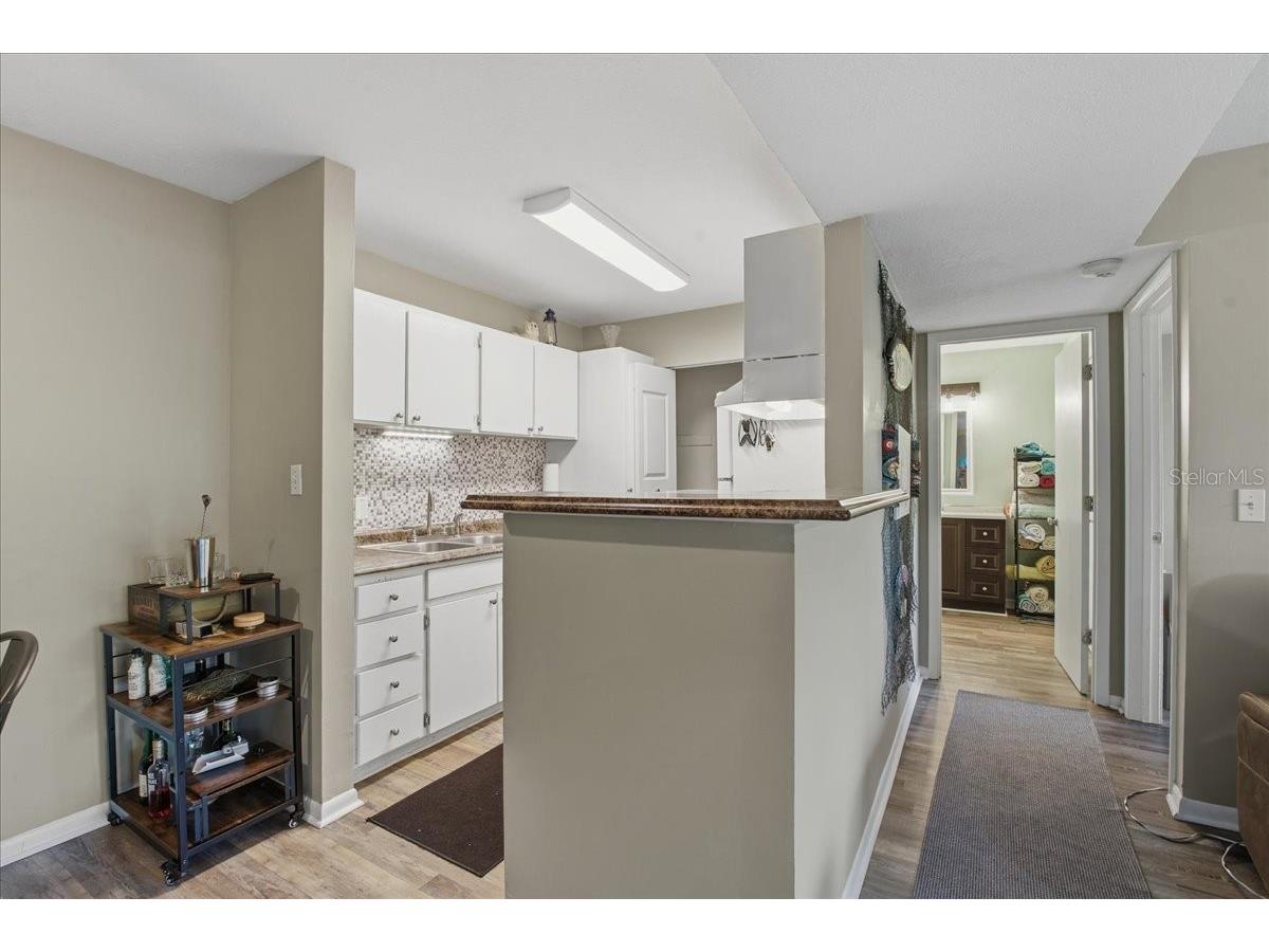 455 Alt 19 S #151 Palm Harbor FL 34683 TB8484878 image18