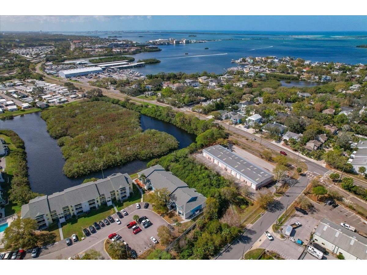 455 Alt 19 S #151 Palm Harbor FL 34683 TB8484878 image2