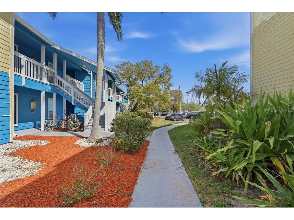 455 Alt 19 S #151 Palm Harbor FL 34683 TB8484878 image38