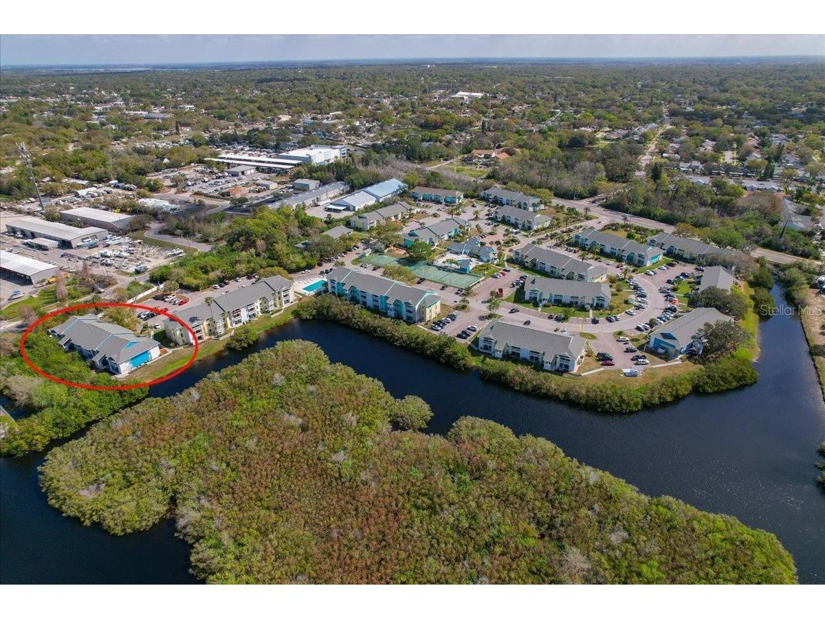 455 Alt 19 S #151 Palm Harbor FL 34683 TB8484878 image44