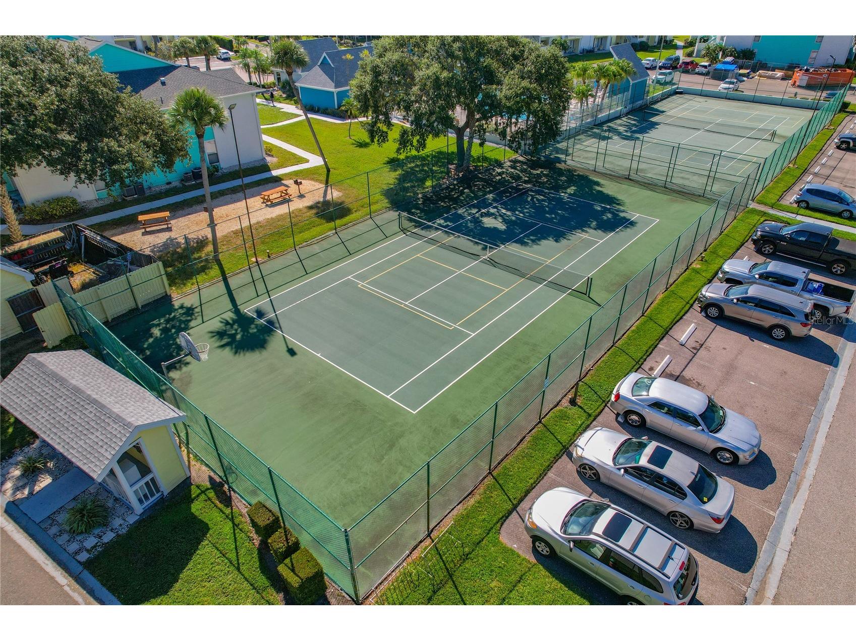 455 Alt 19 S #151 Palm Harbor FL 34683 TB8484878 image50
