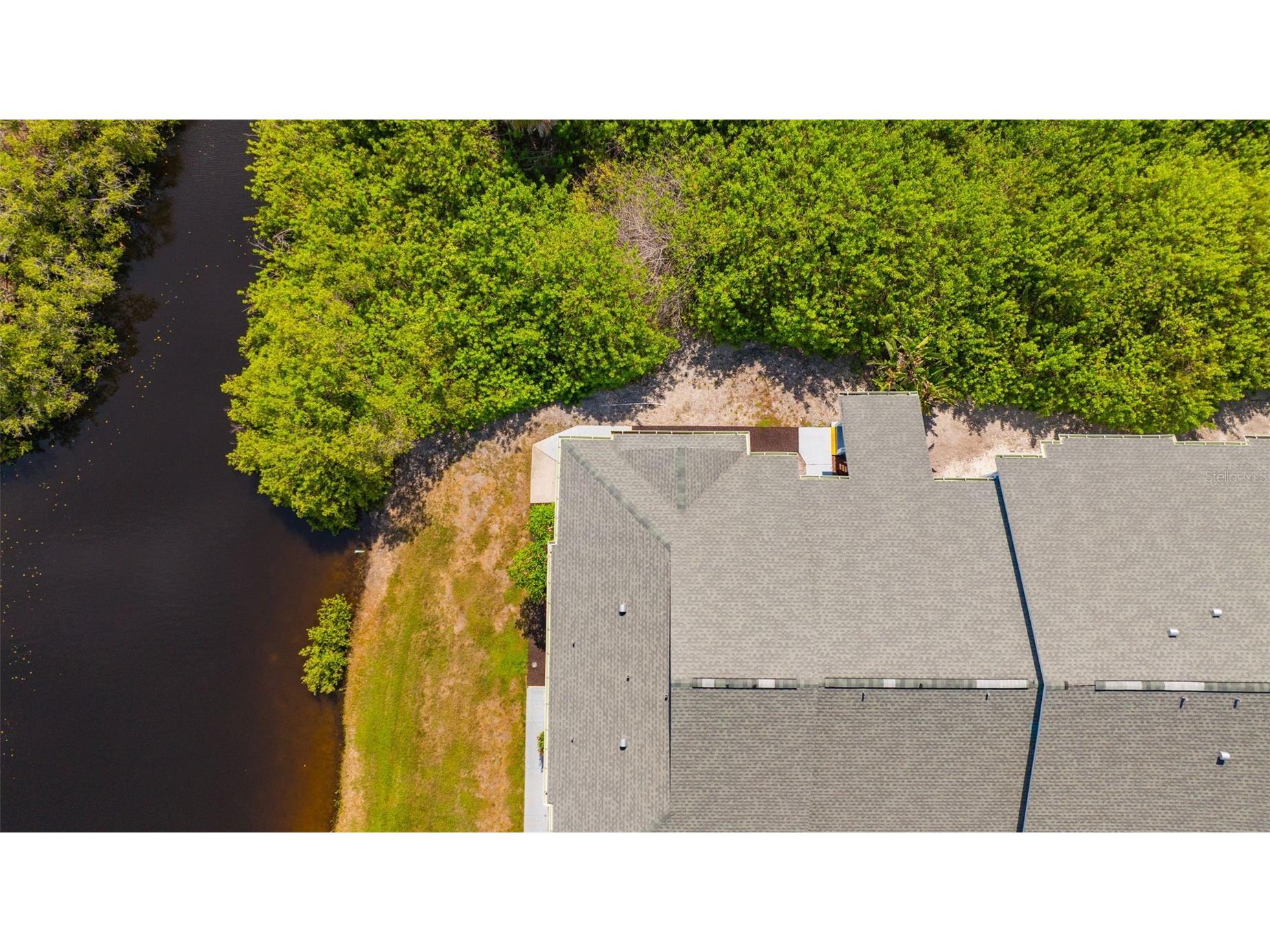 455 Alt 19 S #159 Palm Harbor FL 34683 TB8511786 image42