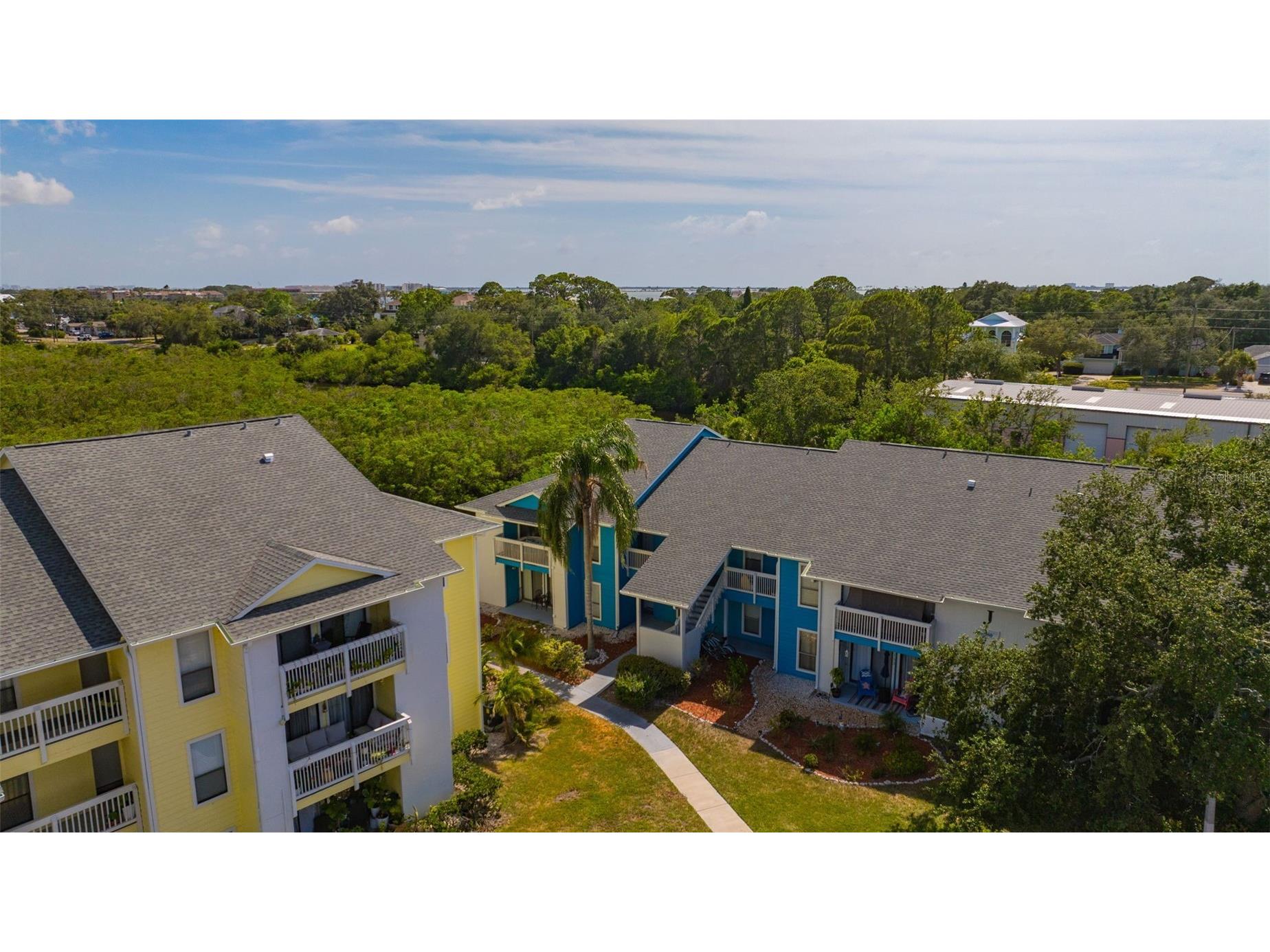 455 Alt 19 S #159 Palm Harbor FL 34683 TB8511786 image63