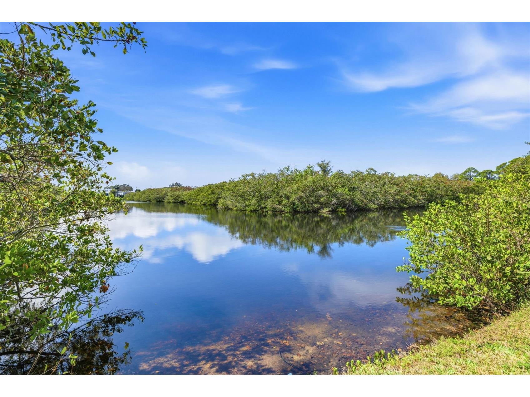 455 Alt 19 S #163 Palm Harbor FL 34683 TB8479817 image24